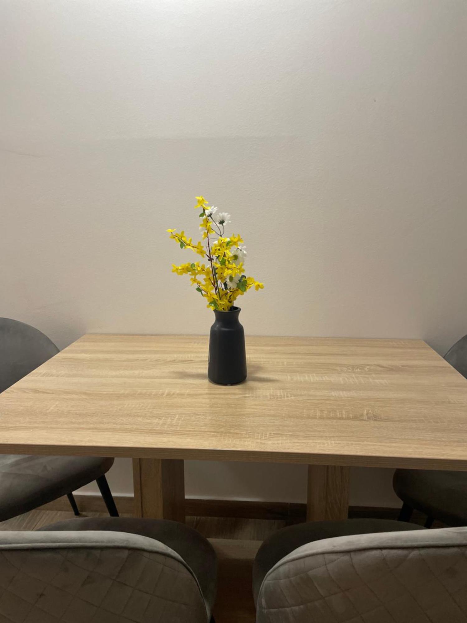 נזרין Apartmani Danica מראה חיצוני תמונה