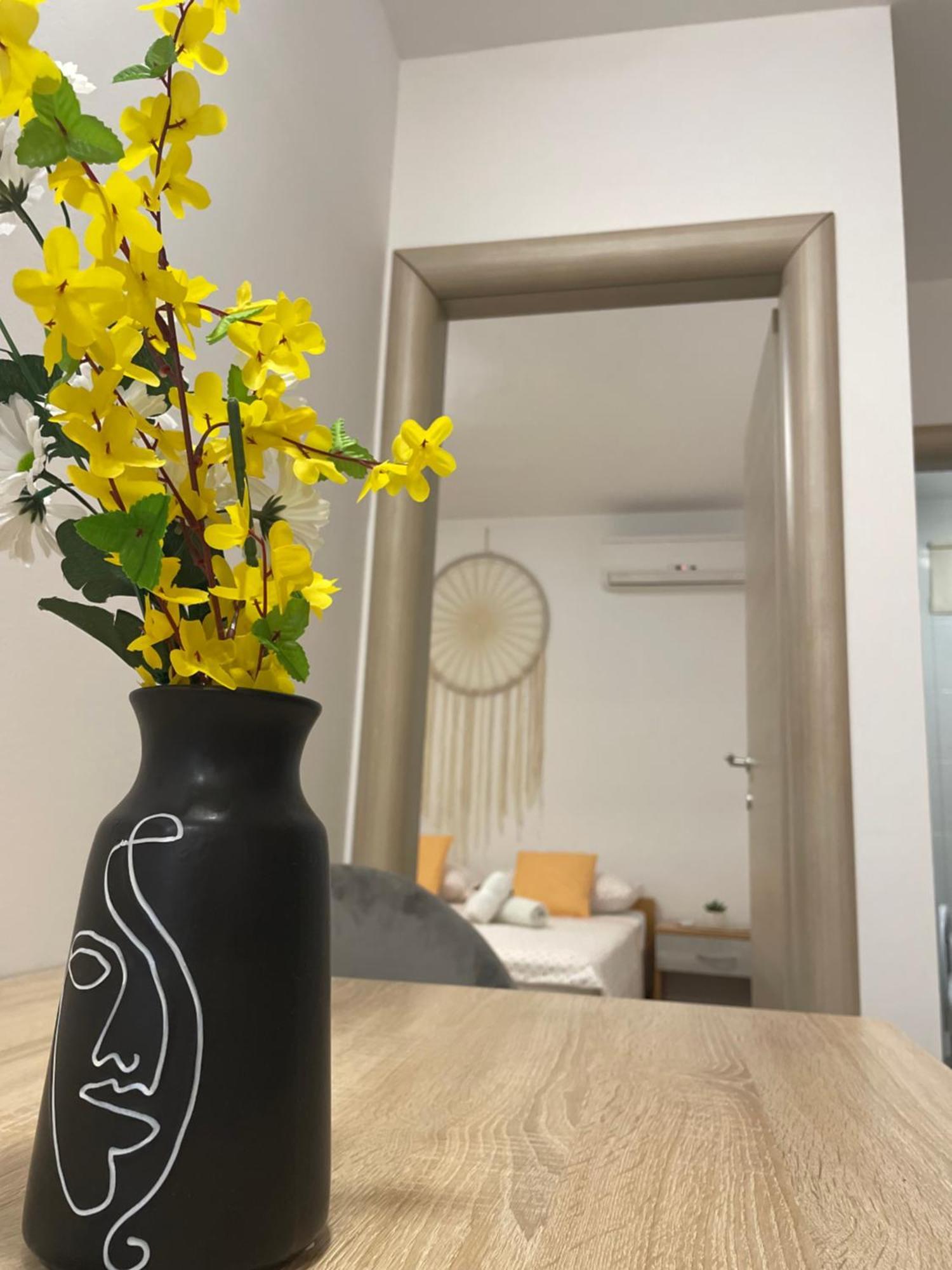 נזרין Apartmani Danica מראה חיצוני תמונה