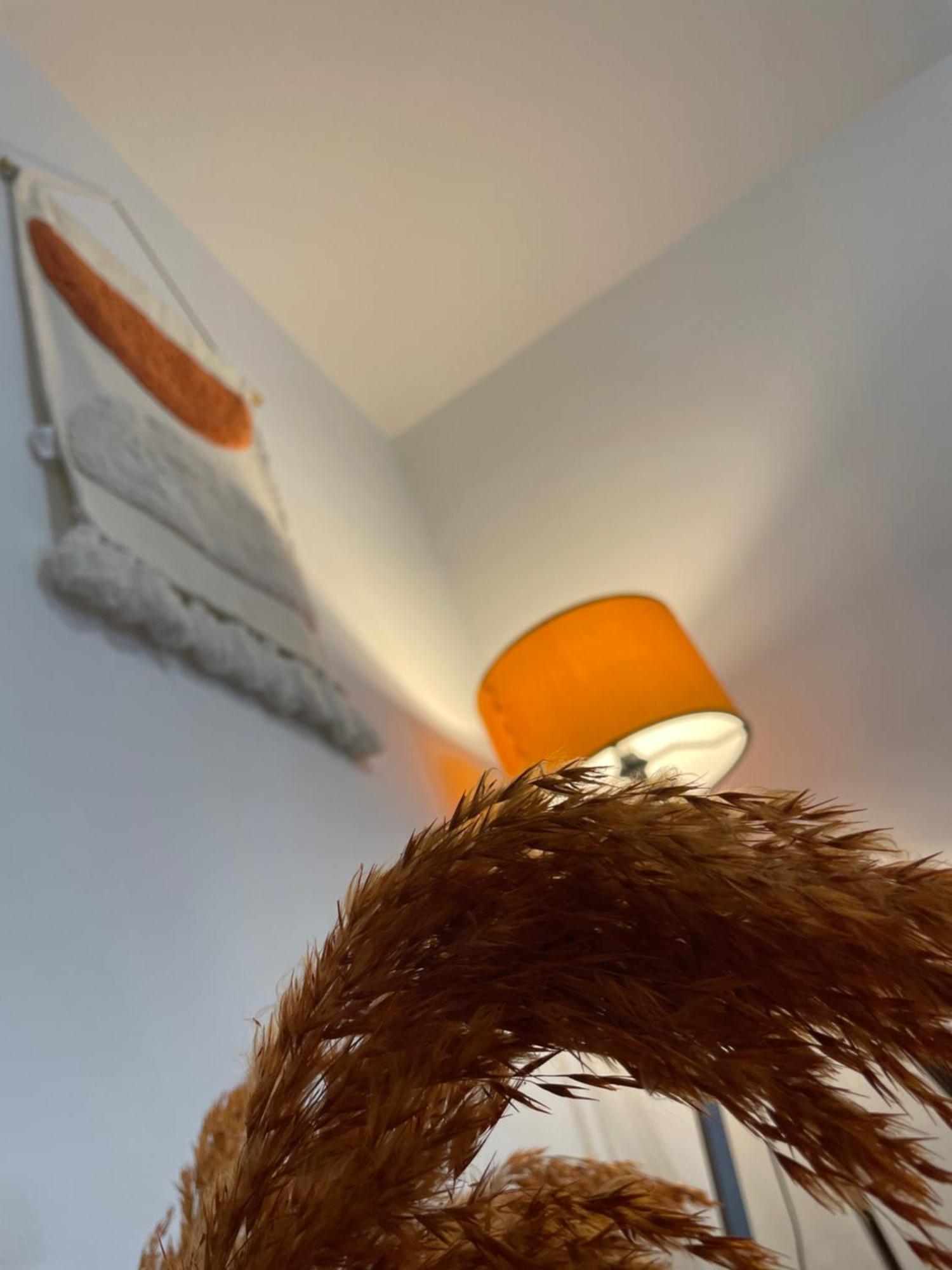 נזרין Apartmani Danica מראה חיצוני תמונה