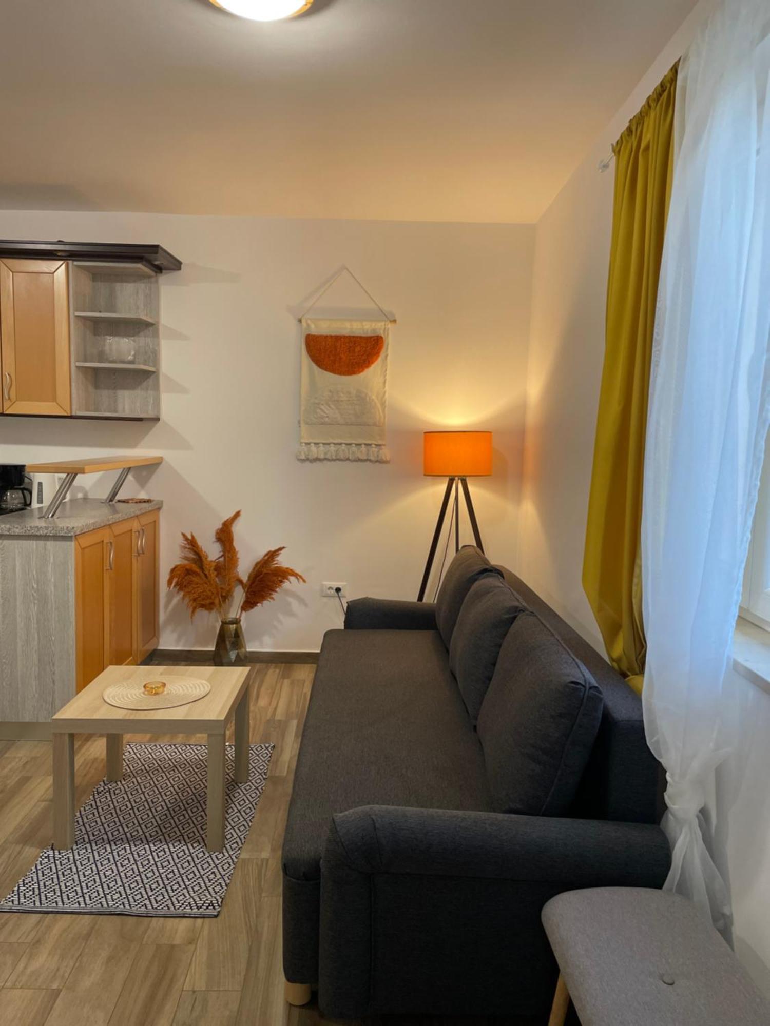 נזרין Apartmani Danica מראה חיצוני תמונה